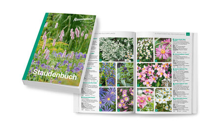 Das neue Hauenstein Staudenbuch