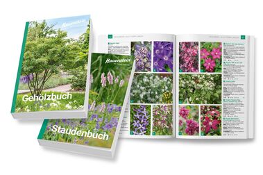 Die neuen Hauenstein Pflanzenbücher sind da