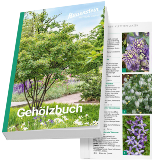 Hauenstein Gehölzbuch
