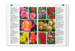 Ein unverzichtbares Nachschlagewerk für alle, die Rosen lieben
