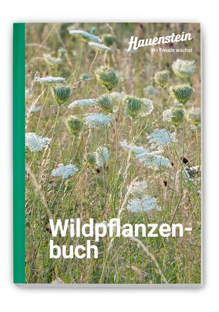 Unser Hauenstein Wildpflanzenbuch