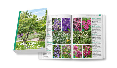 Das neue Hauenstein Gehölzbuch