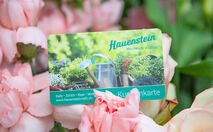 Hauenstein-Kundenkarte