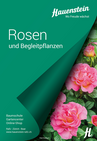 Hauenstein Rosen und Begleitpflanzen