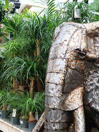 No matter if you're looking for easy-care indoor plants …