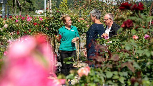 At Hauenstein Garden Centers, we are dedicated to enhancing your enjoyment of plants.