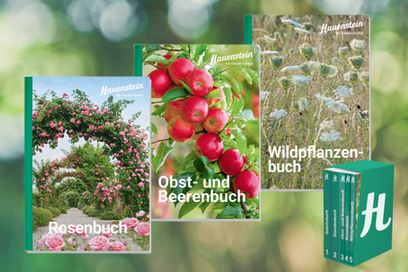 Unsere neuen Pflanzenbücher 2026