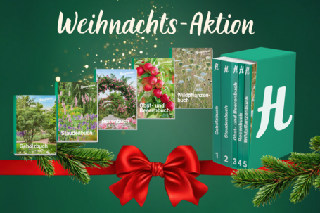Unsere neuen Pflanzenbücher 2026