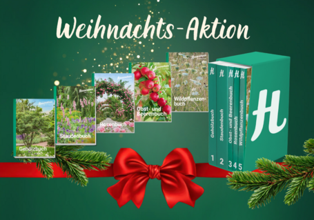 Weihnachts-Aktion Fachbücher