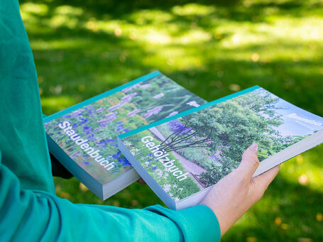 Blumenzwiebeln im Online-Shop