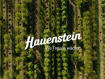Hauenstein AG: Wo Tradition auf Innovation trifft