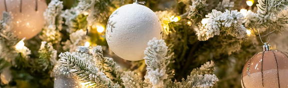 Hauenstein Gartencenter Baar