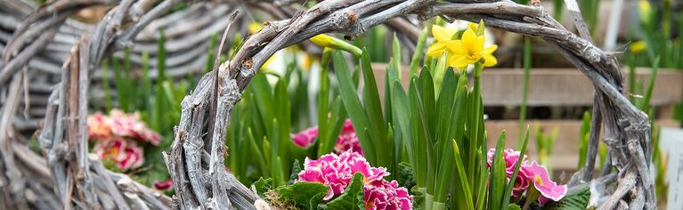 Hauenstein Gartencenter Baar