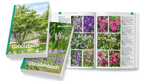 Stauden- und Gehölzbuch