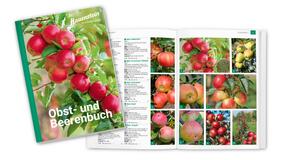 Obst- und Beerenbuch
