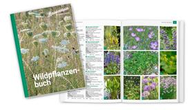 Wildstaudenbuch