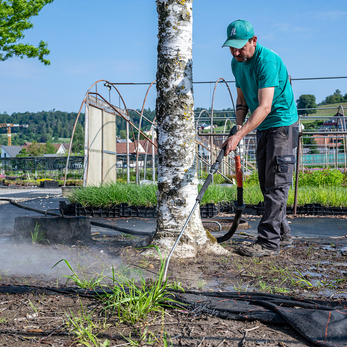 Biol. Unkrautbekämpfung