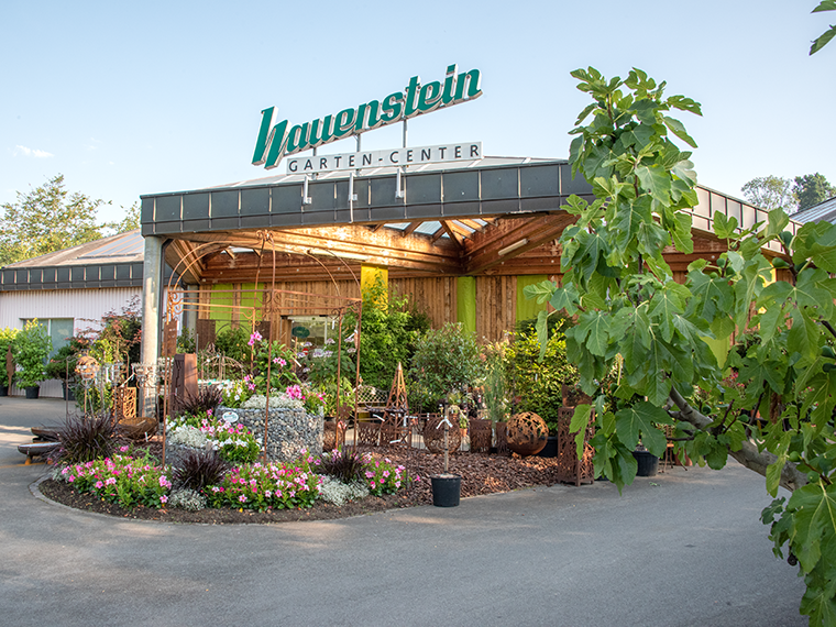 Video Willkommen im Hauenstein Gartencenter Baar