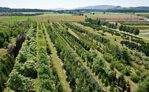 Unternehmensstruktur