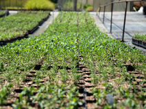 Wir sind für Sie da