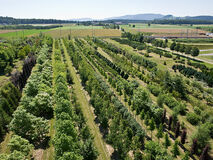 Unternehmensstruktur