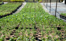 Wir sind für Sie da