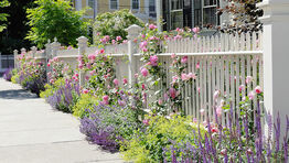 Gestaltung von Kleingärten