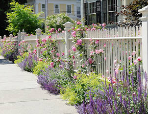 Gestaltung von Kleingärten 