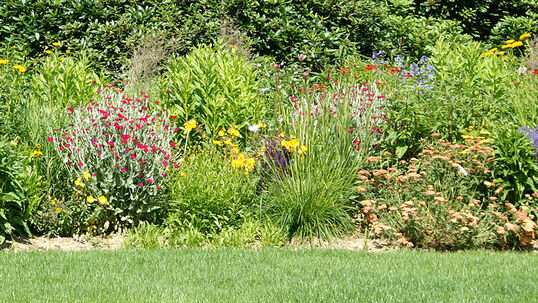 Vielfalt im Garten erhöht die Attraktivität über das ganze Jahr.