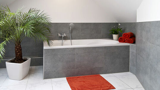 Es gibt viele Pflanzen, die feuchtwarmes Klima schätzen. Auch zu Hause im Badezimmer gedeihen diese Pflanzen deshalb besonders gut. 