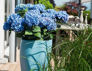 Frühlingsputz auf dem Balkon und der Terrasse
