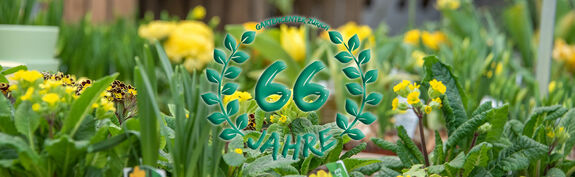 Hauenstein Stadt-Gartencenter Zürich