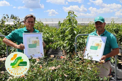 ÖGA 2022: Awardgewinner 'Swing' und 'Jojo® Peach'