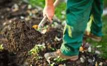 Anschauliche Gartenvideos