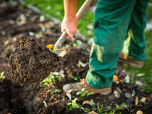 Anschauliche Gartenvideos