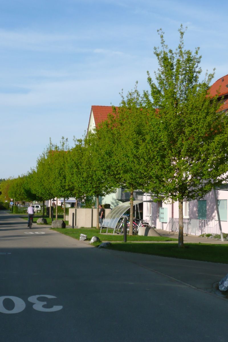 Feldahorn Elsrijk Feldahorn Elsrijk