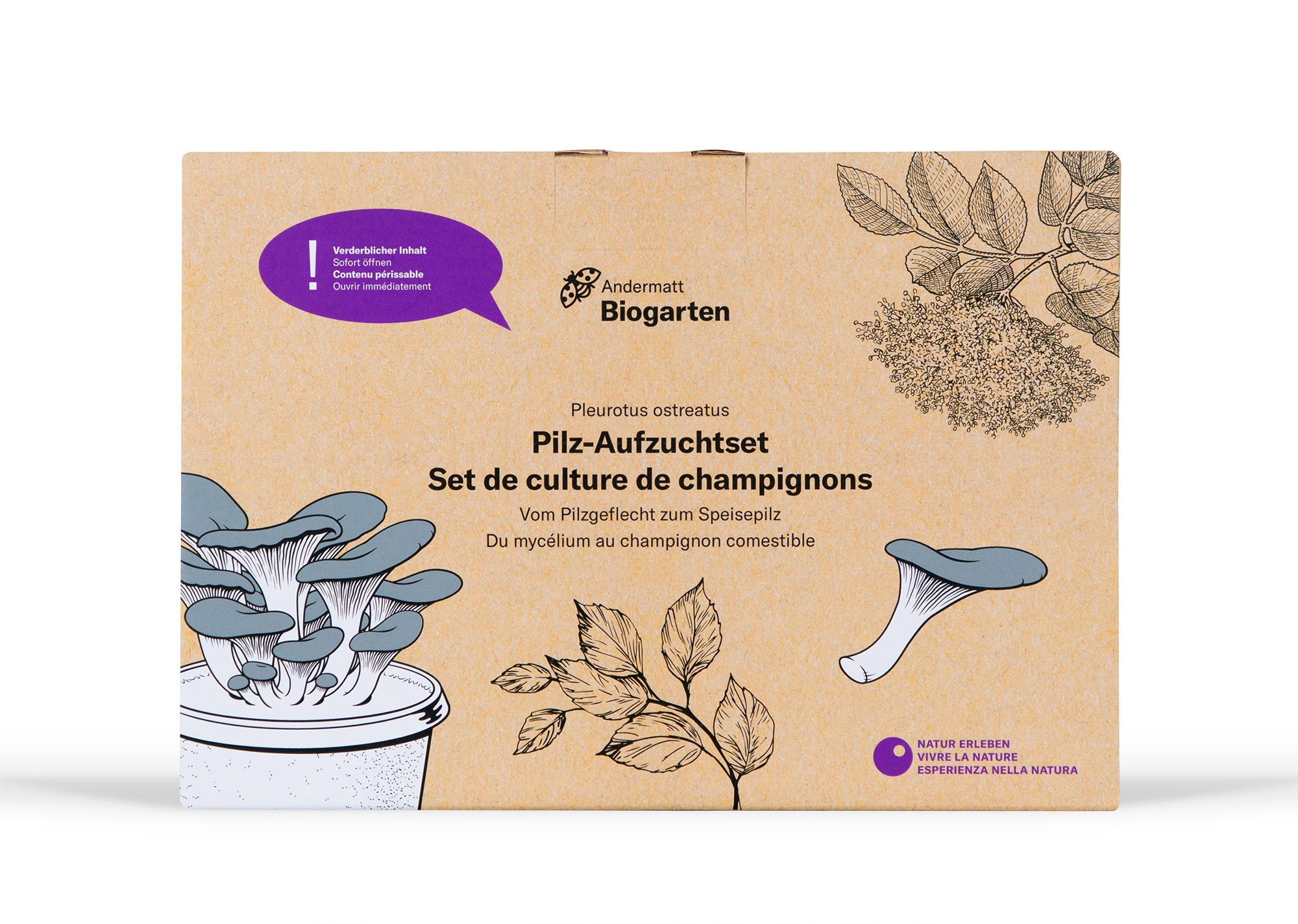 Aufzuchtset Pilz