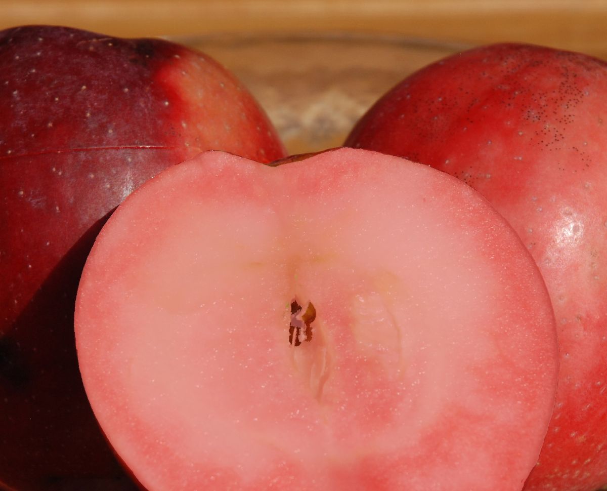 Pixi ROSSO Apfel Pixi ROSSO Apfel