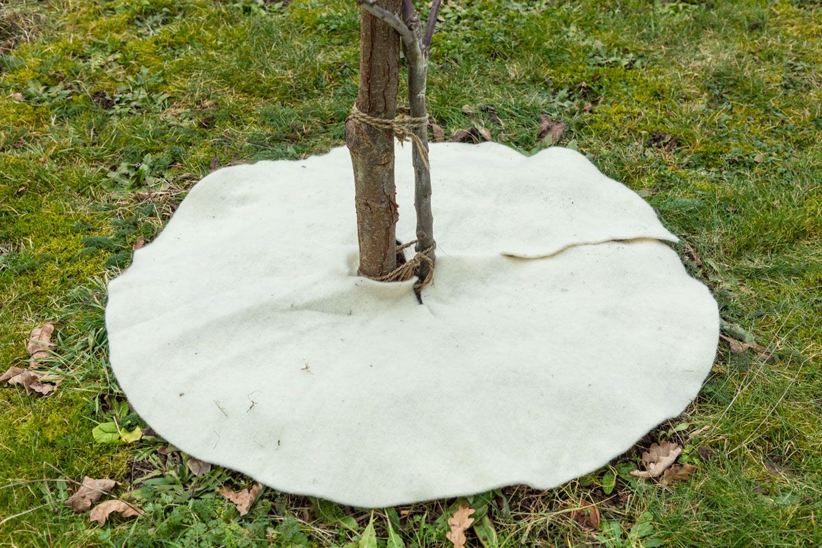 Mulchscheiben