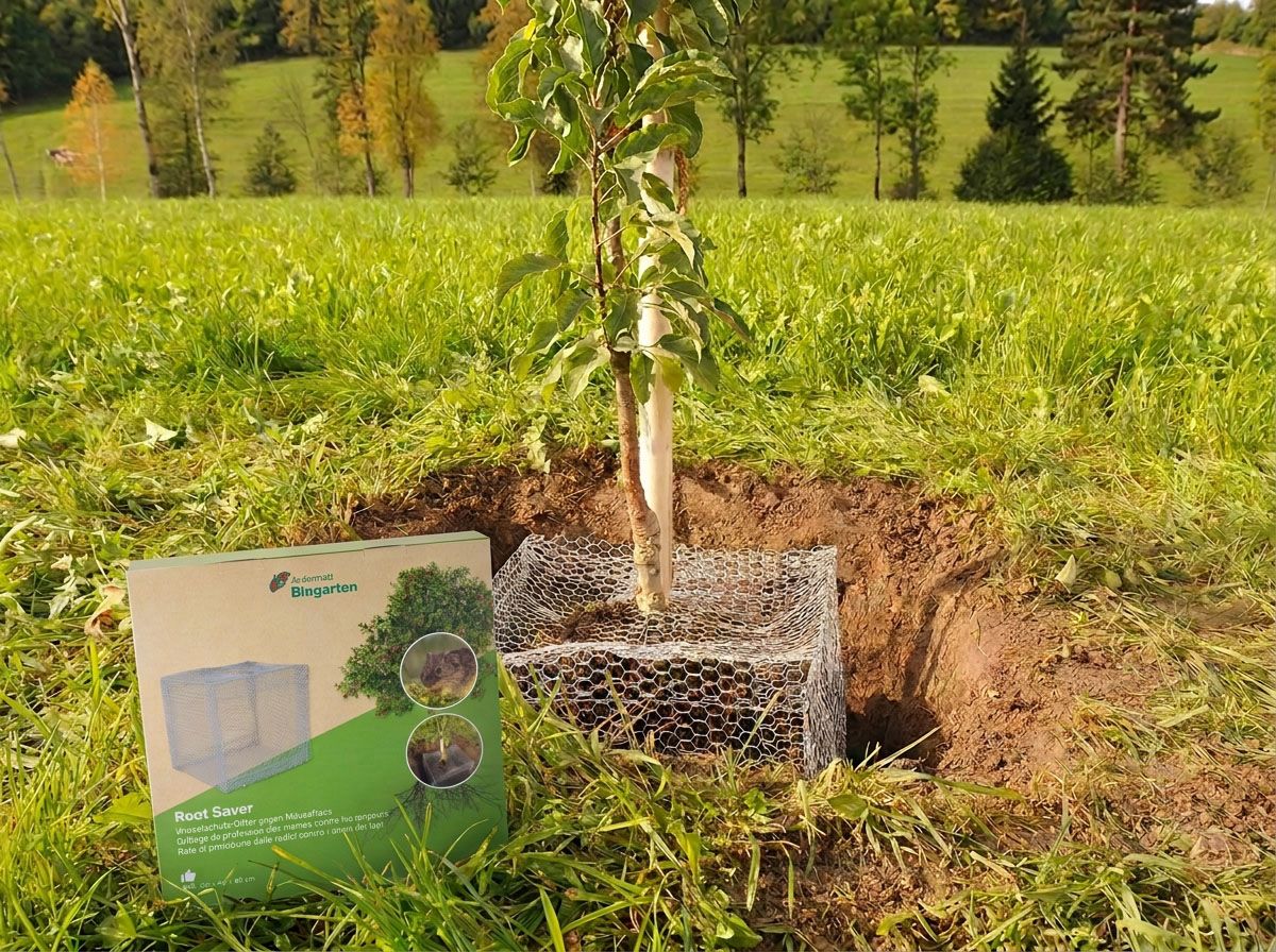 Root Saver (Kube)