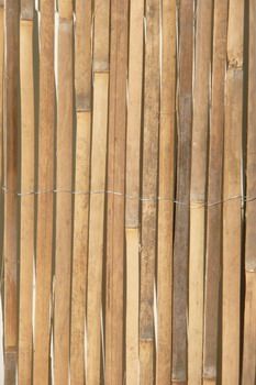 Tonkinmatte Rolle 5m x 2.4m (Spaltbambus)
