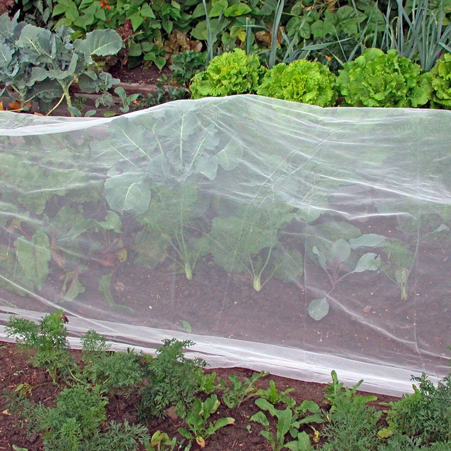 Filbio Netz 5 x 2.2 m PA
