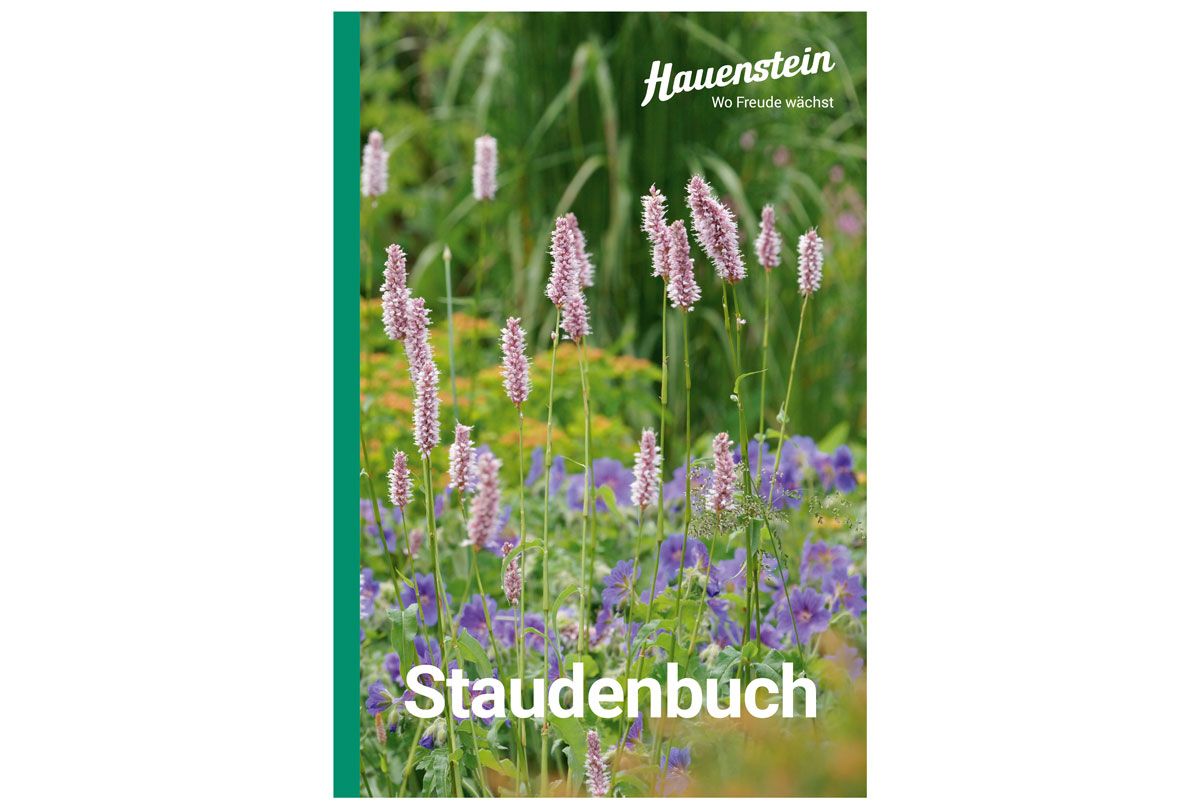 Hauenstein Staudenbuch 2025
