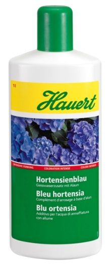 Hortensien