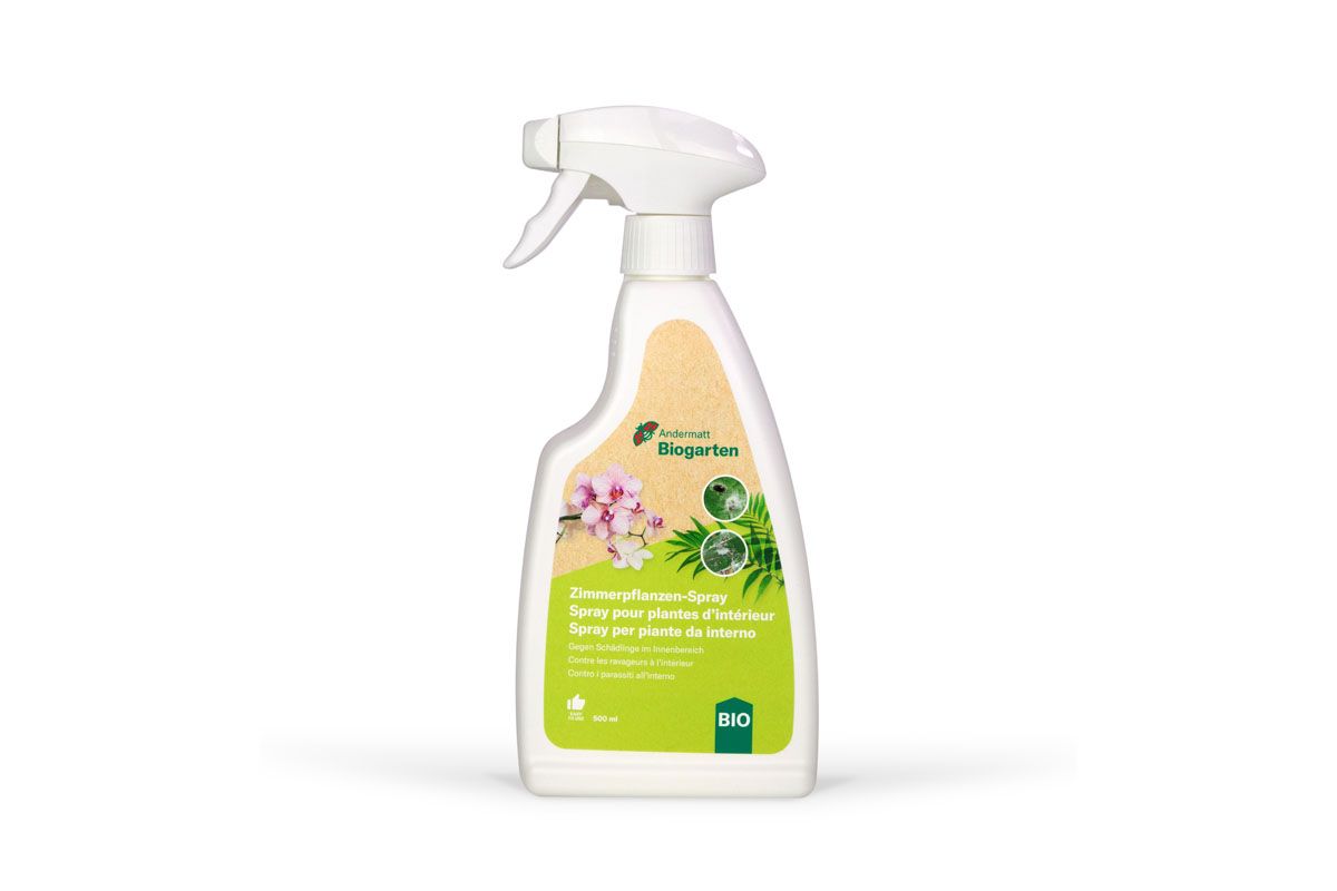 Zimmerpflanzen-Spray