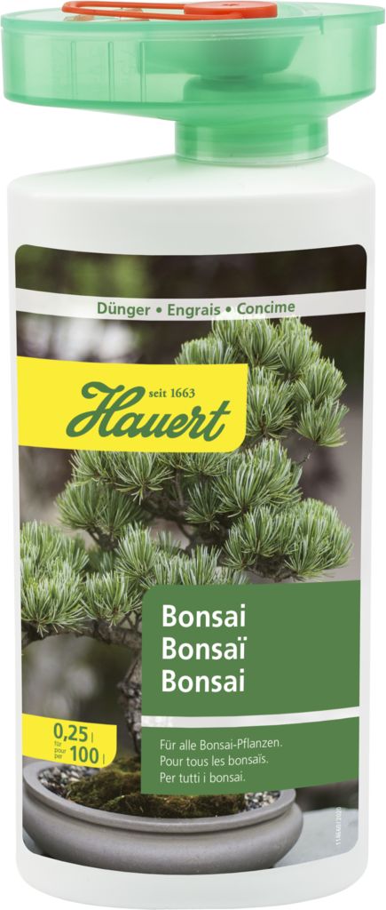 Bonsai