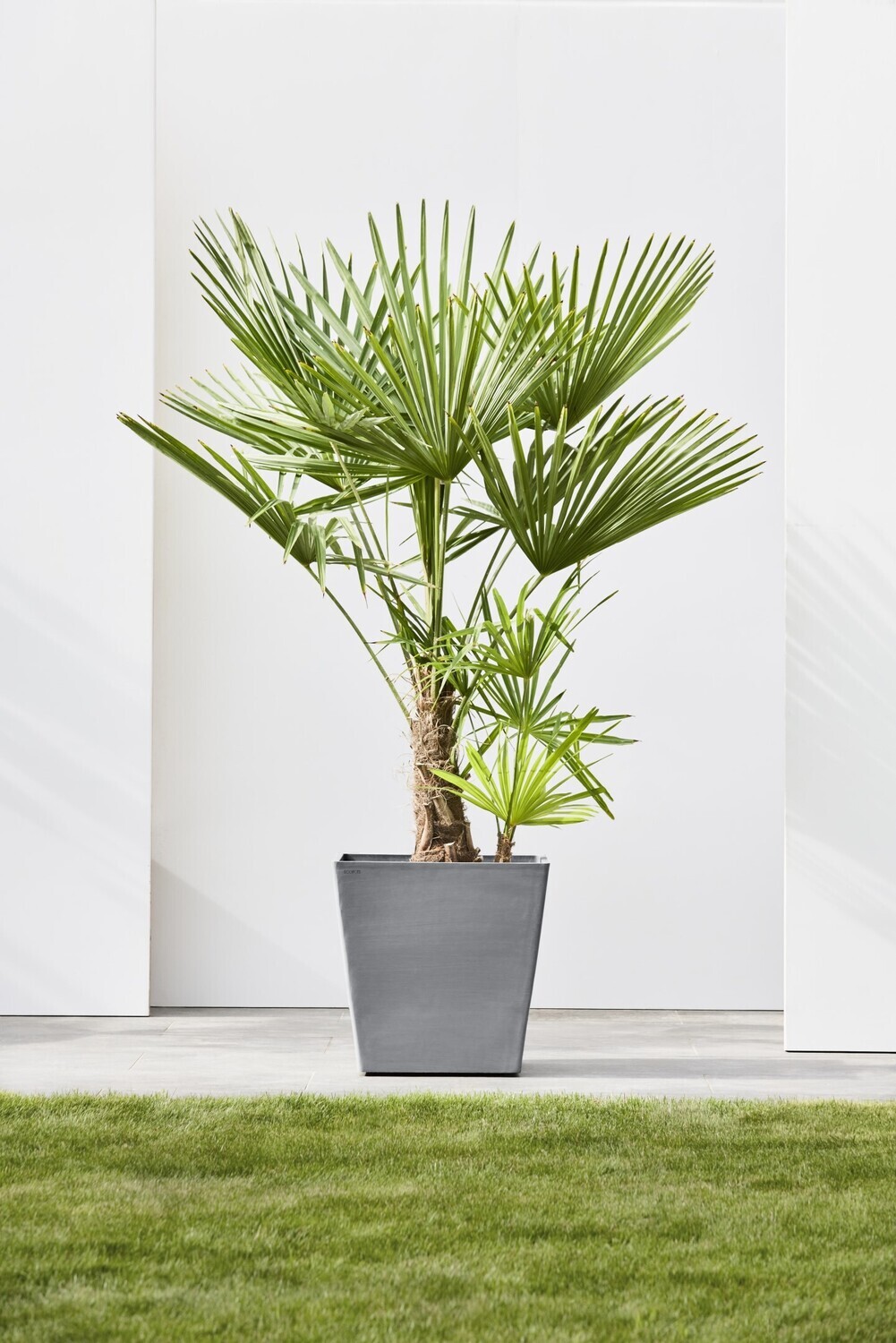 Ecopots Rotterdam Wheels