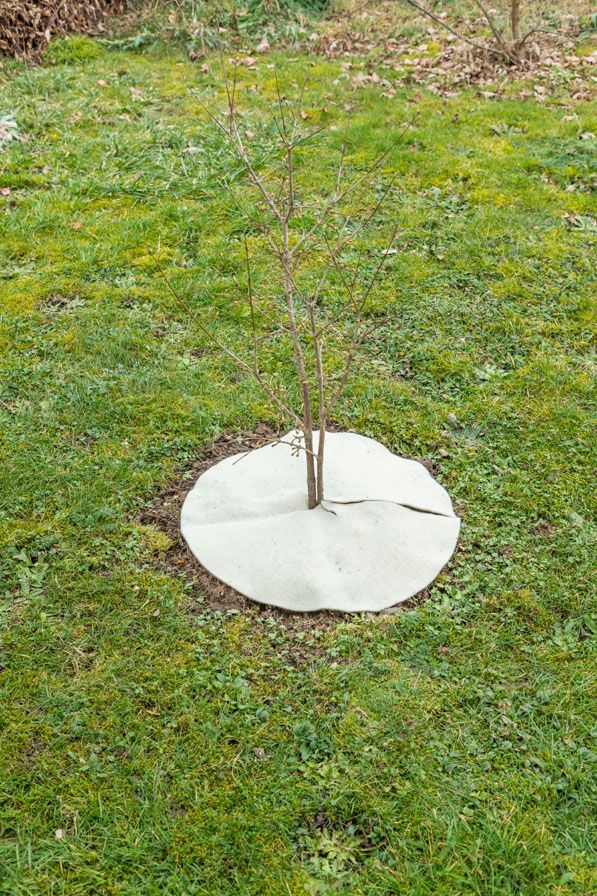 Mulchscheiben