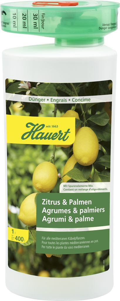 Zitruspflanzen, Palmen, Kübelpflanzen in Zimmer und Wintergarten