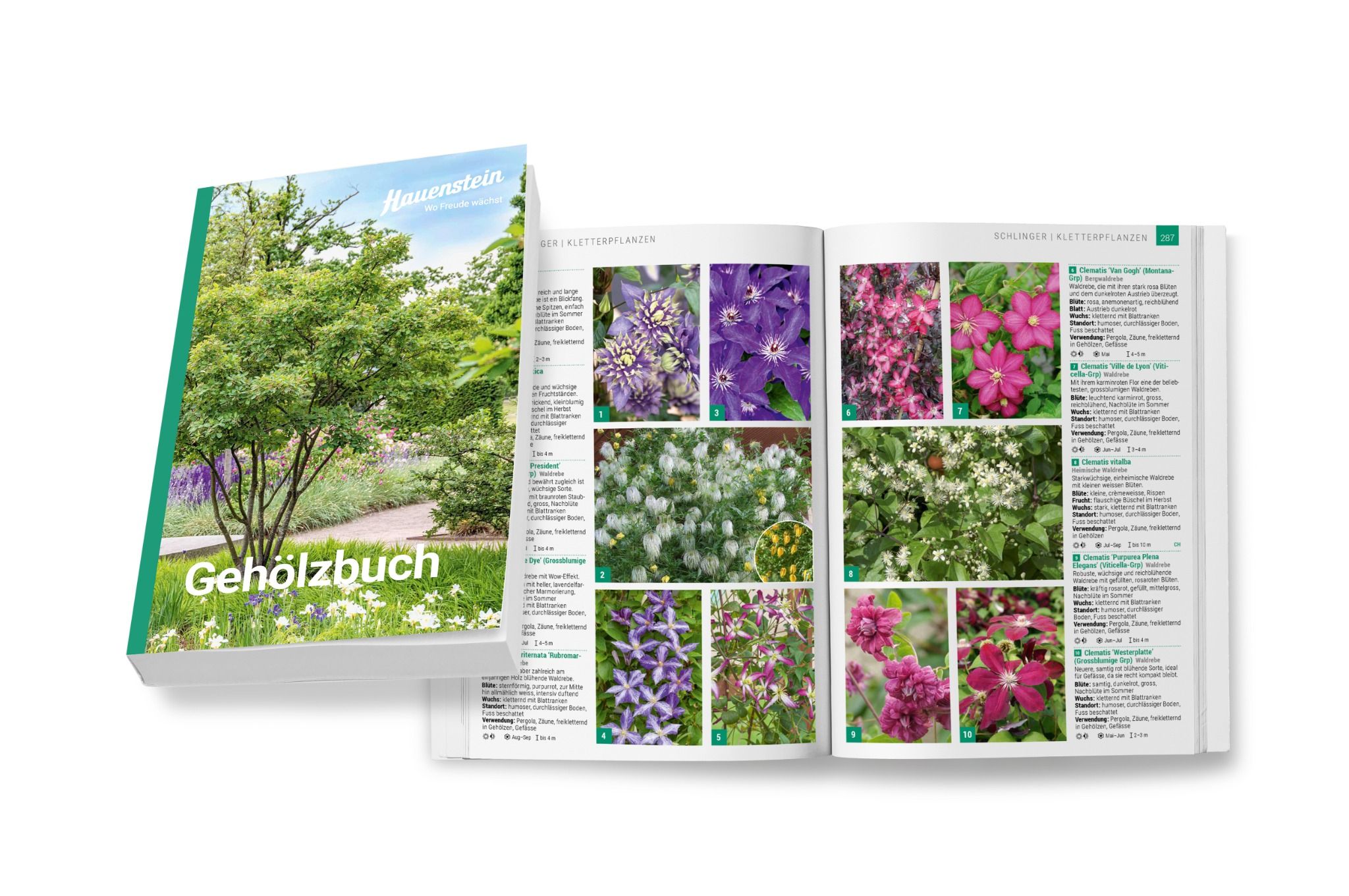 Hauenstein Gehölzbuch 2025